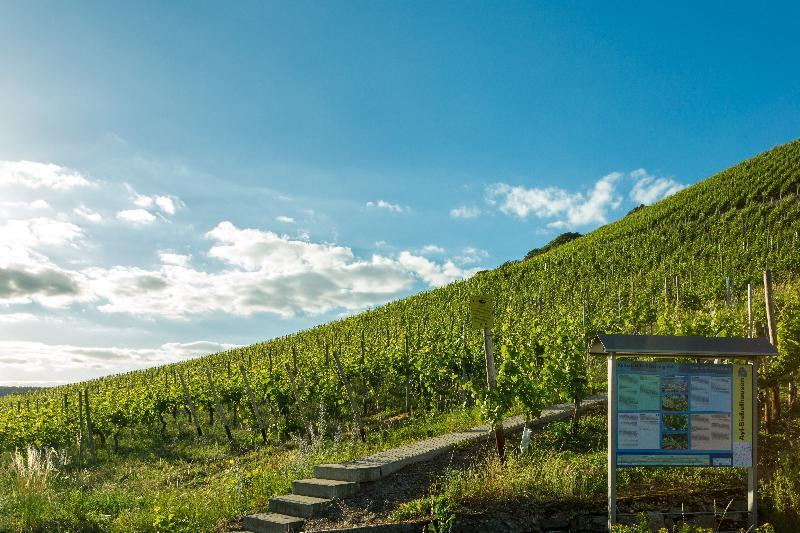 Weinhotel Ayler Kupp Buitenkant foto